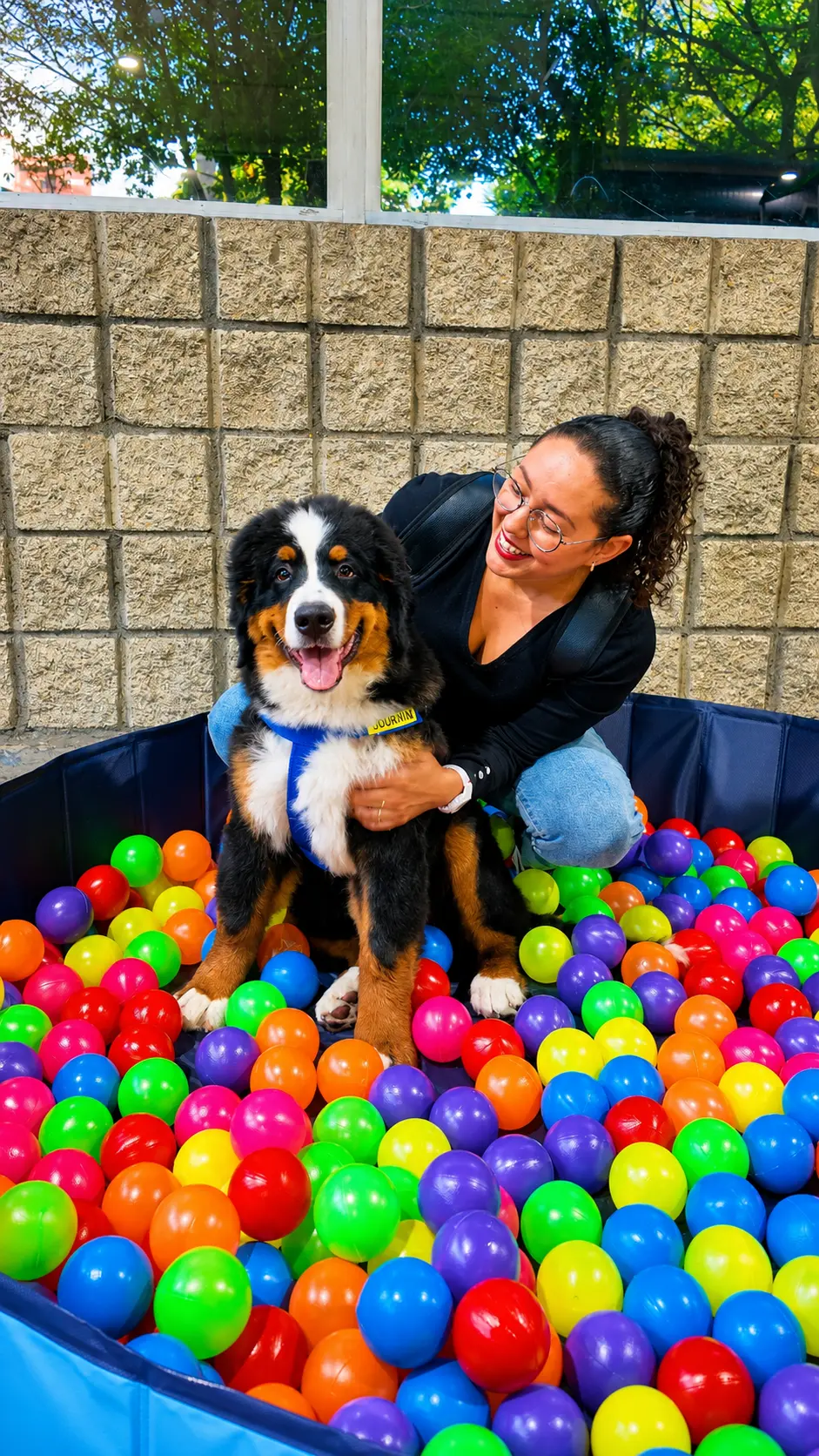 Mascota disfrutando una experiencia interactiva del evento