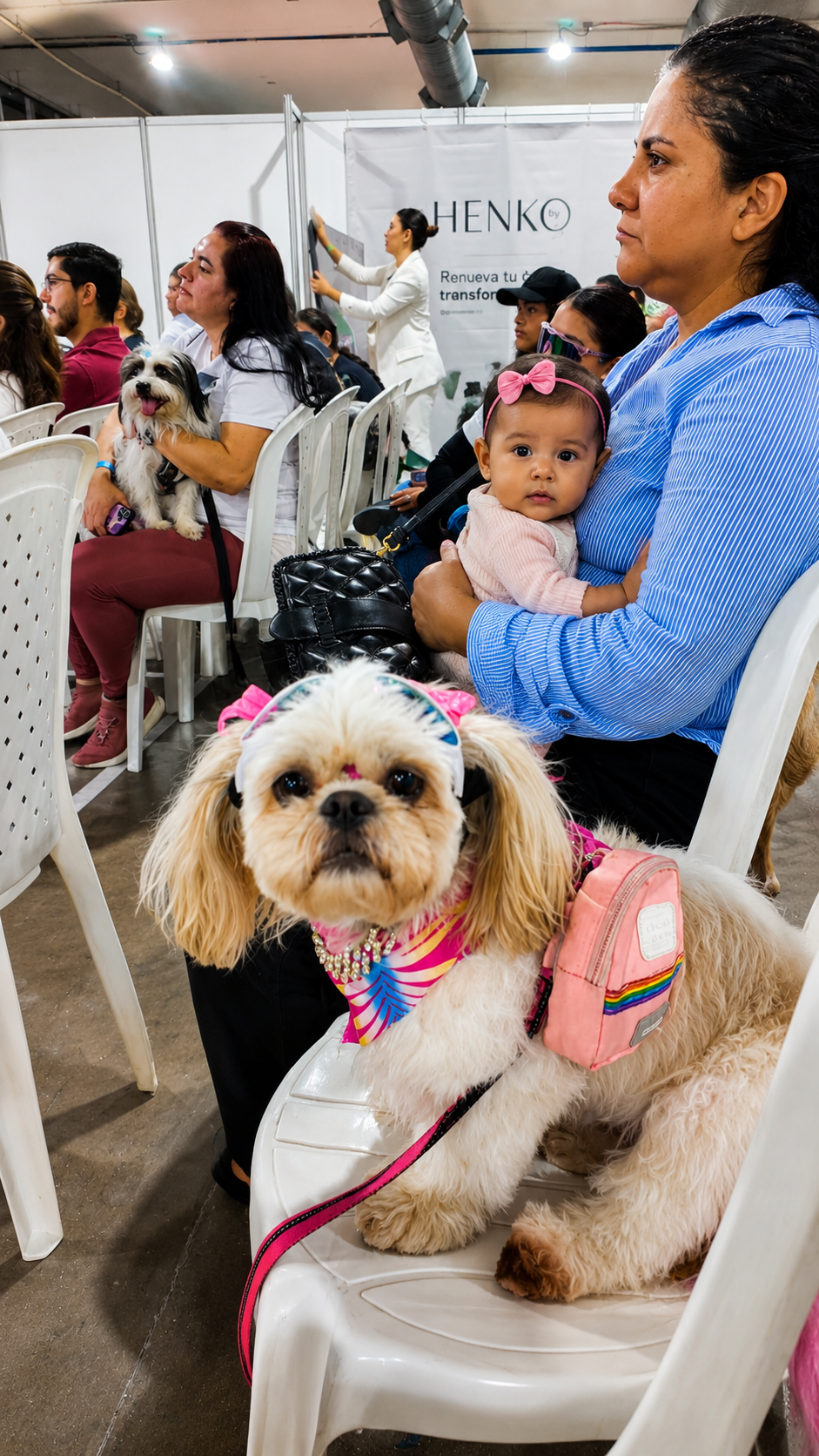Asistentes en una charla junto a sus mascotas